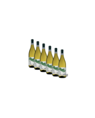 Vini Bianchi  6 Bottiglie Colle Cavalieri Trebbiano D’Abruzzo Dop 2021 - Cantina Tollo 31,39 €