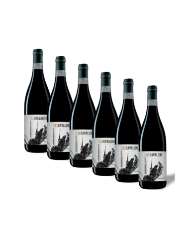 Red Wines  6 Bottiglie Colle Cavalieri Montepulciano D’Abruzzo Dop 2020 - Cantina Tollo 30,82 €