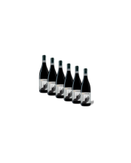 Red Wines  6 Bottiglie Colle Cavalieri Montepulciano D’Abruzzo Dop 2020 - Cantina Tollo 30,82 €