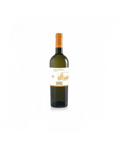 Vini Bianchi  Falanghina Biorganic 2020 - Di Majo Norante 8,84 € Vini Bianchi  Falanghina Biorganic 2020 - Di Majo Norante 8,84 €