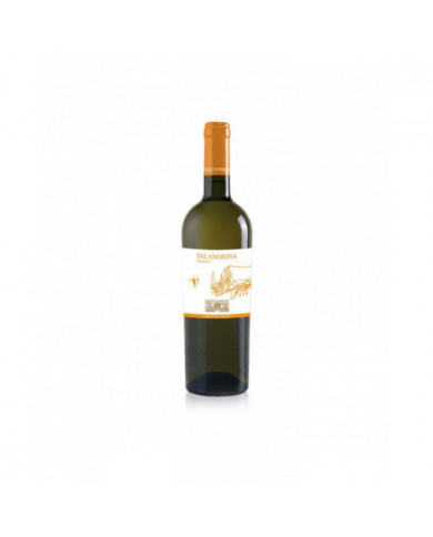 Vini Bianchi  Falanghina Biorganic 2020 - Di Majo Norante 8,84 € Vini Bianchi  Falanghina Biorganic 2020 - Di Majo Norante 8,84 €