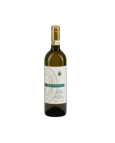 Vini Rossi  Selezione Piemonte: Barbera D'alba - Spumante Brut Metodo Classico - Moscato d'Asti - Langhe Chardonnay - Dolcett...