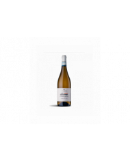 Witte Wijnen  VINOSOPHIA Trebbiano D’Abruzzo DOC Biologico 2021 - Chiusa Grande 8,82 â‚¬ Witte Wijnen  VINOSOPHIA Trebbiano D’Abruzzo DOC Biologico 2021 - Chiusa Grande 8,82 â‚¬