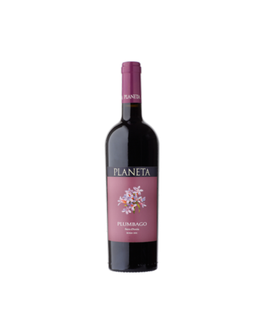 Vini Rossi  Planeta: La Segreta Rosso - La Segreta Bianco - Alastro Menfi- Frappato Vittoria - Trebinto Menfi - Plumbago 50,57 €