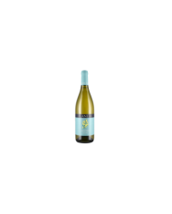 Vini Rossi  Planeta: La Segreta Rosso - La Segreta Bianco - Alastro Menfi- Frappato Vittoria - Trebinto Menfi - Plumbago 50,57 â‚¬ Vini Rossi  Planeta: La Segreta Rosso - La Segreta Bianco - Alastro Menfi- Frappato Vittoria - Trebinto Menfi - Plumbago 50,57 â‚¬