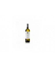 White wines  Sauvignon Langhe magnum 2020 - MARCHESI DI GRESY 35,10&nbsp;€