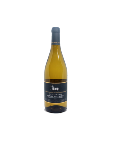 White wines  Pecorino Occhio Blu Terre Chieti IGP 2020 – Cantina Tollo 5,71 €