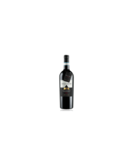 Rode wijnen  Montepulciano D'Abruzzo DOP Riserva Colle Secco 2017 - Cantina Tollo 9,75 €