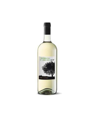 White wines  Trebbiano D’Abruzzo Dop 2020 Magnum - Cantina Tollo 7,20 € White wines  Trebbiano D’Abruzzo Dop 2020 Magnum - Cantina Tollo 7,20 €