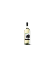 White wines  Trebbiano D’Abruzzo Dop 2020 Magnum - Cantina Tollo 7,20 €