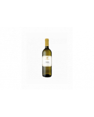 White wines  Trebbiano d'Abruzzo DOC 2021 - Valle Martello 6,85 €