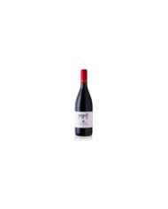 Vini Rosè  MIMÃŒ Cerasuolo d’Abruzzo D.O.C. 2023 - Dora Sarchese 6,15 â‚¬ Vini Rosè  MIMÃŒ Cerasuolo d’Abruzzo D.O.C. 2023 - Dora Sarchese 6,15 â‚¬