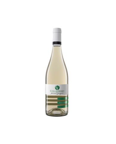White wines  Pinot Grigio Filarè Terre di Chieti IGT 2023 - Collefrisio 9,66 € White wines  Pinot Grigio Filarè Terre di Chieti IGT 2023 - Collefrisio 9,66 €