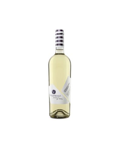 White wines  Vignaquadra Passerina IGT Terre di Chieti 2020 - Collefrisio 7,39 € White wines  Vignaquadra Passerina IGT Terre di Chieti 2020 - Collefrisio 7,39 €