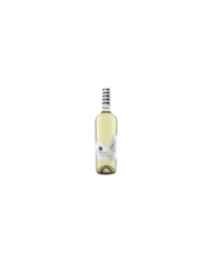 White wines  Vignaquadra Passerina IGT Terre di Chieti 2020 - Collefrisio 7,39 â‚¬ White wines  Vignaquadra Passerina IGT Terre di Chieti 2020 - Collefrisio 7,39 â‚¬
