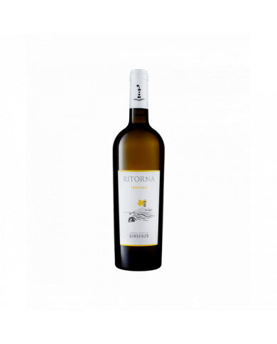 Witte Wijnen  Cococciola Terre Di Chieti IGT Ritorna 2021 - Giovenzo 10,66 €