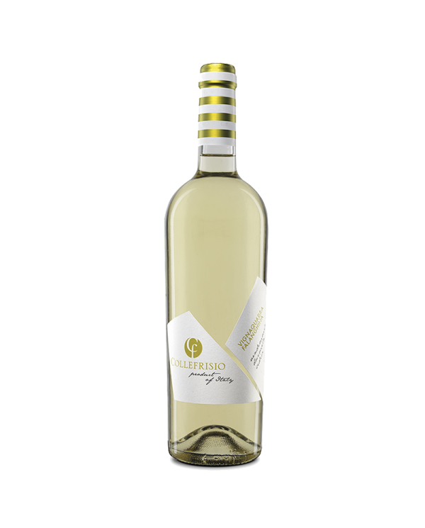 White wines  Vignaquadra Falanghina IGT Terre di Chieti 2024 - Collefrisio 10,50 â‚¬ White wines  Vignaquadra Falanghina IGT Terre di Chieti 2024 - Collefrisio 10,50 â‚¬