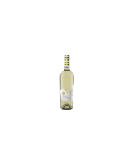 Vini Bianchi  Vignaquadra Falanghina IGT Terre di Chieti 2024 - Collefrisio 10,50 €