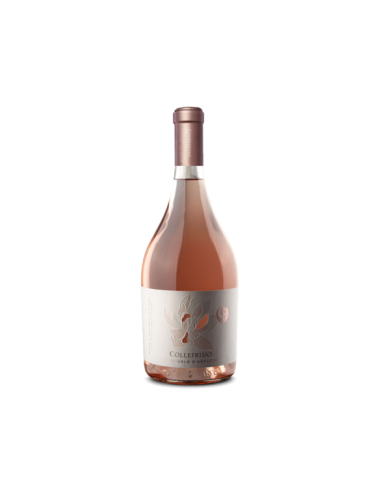 Rosé Wines  Cerasuolo D’ Abruzzo DOC 2023 - Collefrisio 12,60 € Rosé Wines  Cerasuolo D’ Abruzzo DOC 2023 - Collefrisio 12,60 €