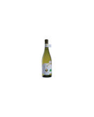 Vini Bianchi  Cococciola Terre di Chieti IGP 2020 Vola Volè - Cantina Orsogna 5,71 €