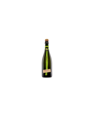 Witte Wijnen  Spumante Passerina 2020 Vola Volè - Cantina Orsogna 8,69 €