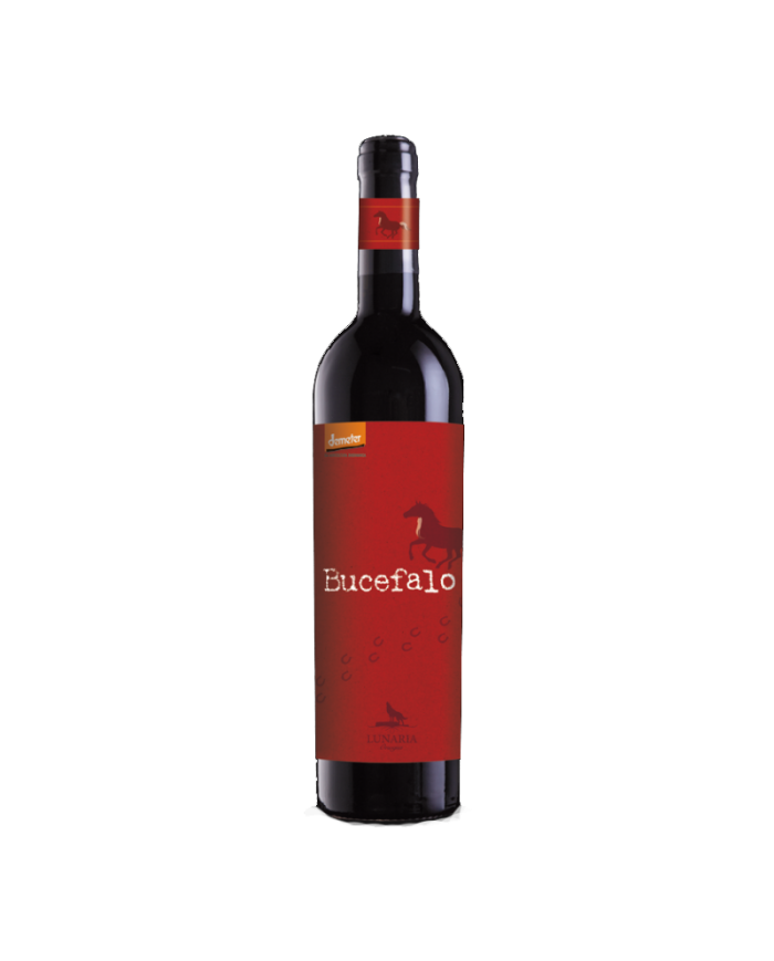Vini Rossi  Bucefalo Rosso da uve appassite Lunaria - Cantina Orsogna 12,00 €