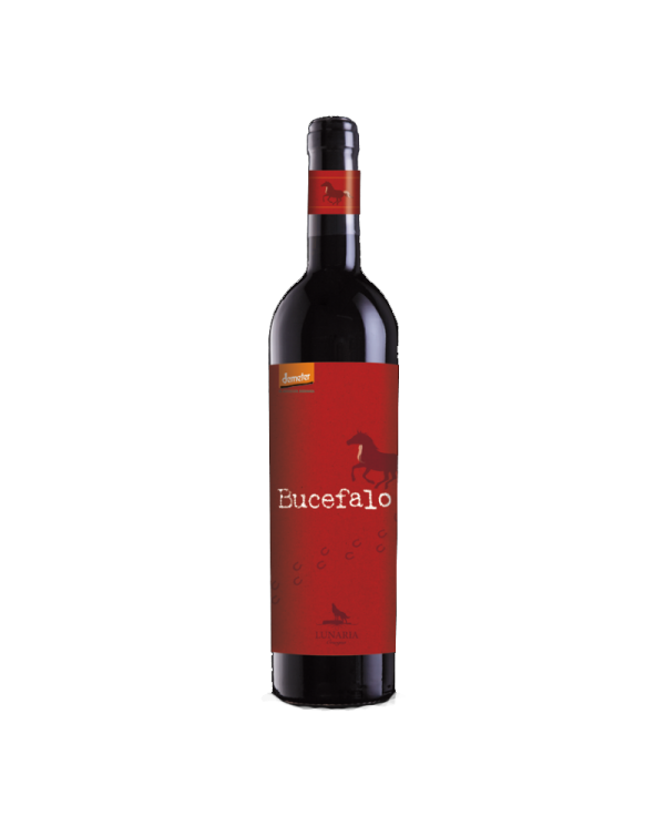 Rode wijnen  Bucefalo Rosso da uve appassite Lunaria - Cantina Orsogna 12,00 â‚¬ Rode wijnen  Bucefalo Rosso da uve appassite Lunaria - Cantina Orsogna 12,00 â‚¬