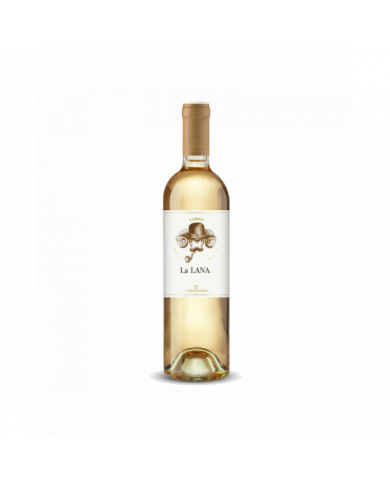 Vini Bianchi  La LANA Falanghina del Molise DOC 2021 - Campi Valerio 29,40 € Vini Bianchi  La LANA Falanghina del Molise DOC 2021 - Campi Valerio 29,40 €