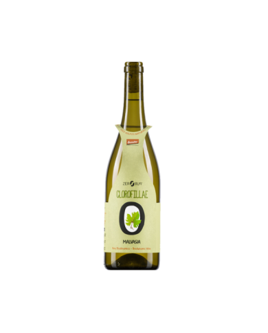 White wines  Malvasia Clorofillae Zero Puro 2022 - Cantina Orsogna 12,66 € White wines  Malvasia Clorofillae Zero Puro 2022 - Cantina Orsogna 12,66 €