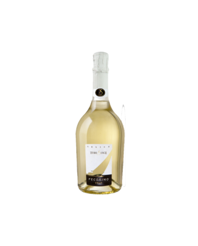 White wines  Velico Spumante Pecorino Brut - Terre d'Erce 14,75 € White wines  Velico Spumante Pecorino Brut - Terre d'Erce 14,75 €