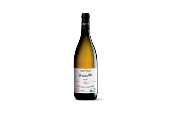 Vini Bianchi  Pecorino Biologico Tullum DOCG 2023 - Feudo Antico 12,85&nbsp;€