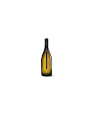 Vini Bianchi  Pecorino Terre Aquilane IGP Casadonna 2020 - Feudo Antico 37,80 â‚¬ Vini Bianchi  Pecorino Terre Aquilane IGP Casadonna 2020 - Feudo Antico 37,80 â‚¬