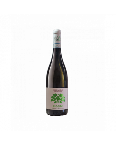 Vini Bianchi  Ruggito Trebbiano D'Abruzzo DOC 2021 - Buzzarone 12,60 € Vini Bianchi  Ruggito Trebbiano D'Abruzzo DOC 2021 - Buzzarone 12,60 €