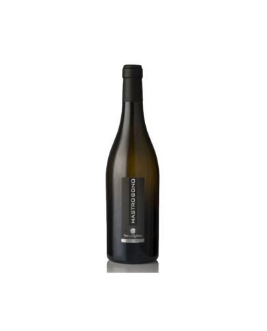 White wines  Mastrobono Platino 2019 - Vini la Quercia 12,23 € White wines  Mastrobono Platino 2019 - Vini la Quercia 12,23 €