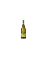 Witte Wijnen  SantaPupa Abruzzo Montonico Superiore DOC DOP 2023 - Vini la Quercia 8,61 â‚¬ Witte Wijnen  SantaPupa Abruzzo Montonico Superiore DOC DOP 2023 - Vini la Quercia 8,61 â‚¬