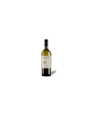 Vini Bianchi  Valle d’Oro Trebbiano D’Abruzzo Dop 2022 - Cantina Tollo 6,15 €