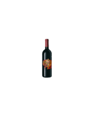 Vini Rossi  A PA’ - Montepulciano d'Abruzzo DOC 2019 - Cantina Falon 8,03 €