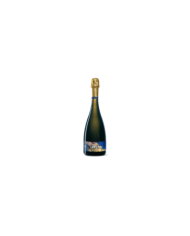 Witte Wijnen  JEANETTE Pecorino Spumante Brut - Chiarieri 11,06 €