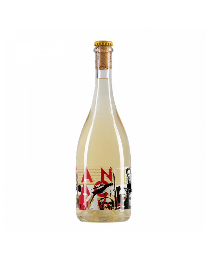 Witte Wijnen  Vino Bianco Frizzante Biologico - Cantina San Giacomo 8,96 €