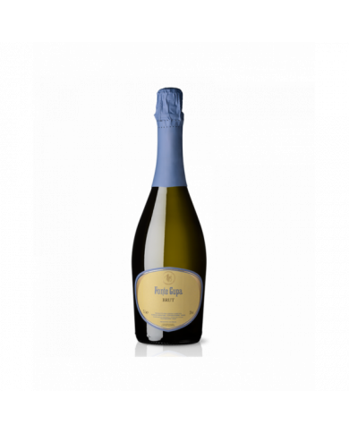 Witte Wijnen  Fonte Cupa Spumante Brut - Camillo Montori 8,12 â‚¬ Witte Wijnen  Fonte Cupa Spumante Brut - Camillo Montori 8,12 â‚¬