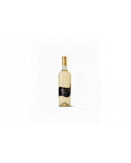 Vini Bianchi  FLUTTO Falanghina Terre di Chieti IGT 2020 - Finisterrae 7,47 €