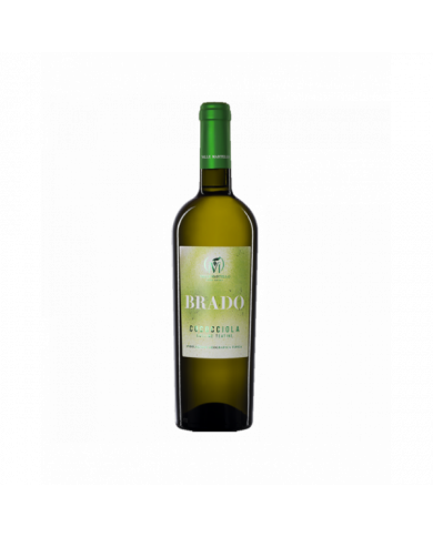 Vini Bianchi  Cococciola Colline Teatine IGT 2020 Brado - Valle Martello 8,61 € Vini Bianchi  Cococciola Colline Teatine IGT 2020 Brado - Valle Martello 8,61 €