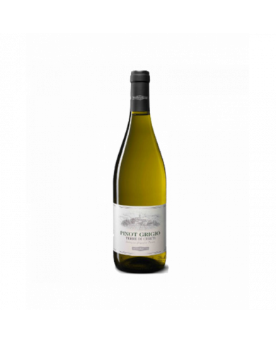 Vini Bianchi  Pinot Grigio Terre di Chieti IGP 2020 - Feudo Antico 4,83 € Vini Bianchi  Pinot Grigio Terre di Chieti IGP 2020 - Feudo Antico 4,83 €