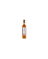 Witte Wijnen  Passito Colli Aprutini IGT - Biagi 16,80 €