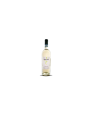 Witte Wijnen  Montupoli Trebbiano d’Abruzzo DOP 2020 - Cantina Miglianico 6,41 €