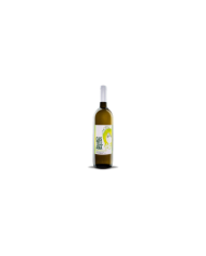 White wines  Castellana Bianco Terre di Chieti IGP 2020 - Cantina Miglianico 4,30 €