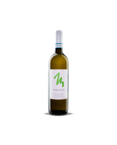 White wines  Miglianico Trebbiano d’Abruzzo DOP 2020 - Cantina Miglianico 4,30 â‚¬ White wines  Miglianico Trebbiano d’Abruzzo DOP 2020 - Cantina Miglianico 4,30 â‚¬