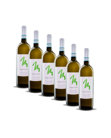 White wines  6 Bottiglie Miglianico Trebbiano d’Abruzzo DOP 2020 - Cantina Miglianico 19,67 â‚¬ White wines  6 Bottiglie Miglianico Trebbiano d’Abruzzo DOP 2020 - Cantina Miglianico 19,67 â‚¬
