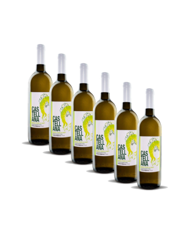 White wines  6 Bottiglie Castellana Bianco Terre di Chieti IGP 2020 - Cantina Miglianico 19,67 â‚¬ White wines  6 Bottiglie Castellana Bianco Terre di Chieti IGP 2020 - Cantina Miglianico 19,67 â‚¬