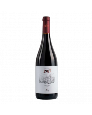 Red Wines  1967 Primitivo IGT Puglia 2021 - Cantine Torri 10,22 €